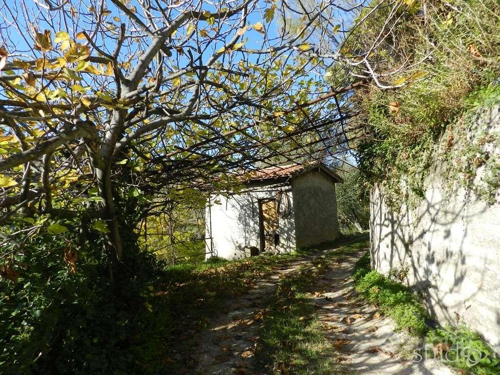 Rustico-Casale a Bordighera - Vista 2