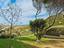 Immagine 15