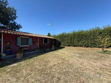 Rustico con 2000 Mq. di terreno Pianeggiante