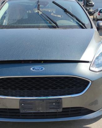 Musata Ford Fiesta 2020 1.1 FSJA