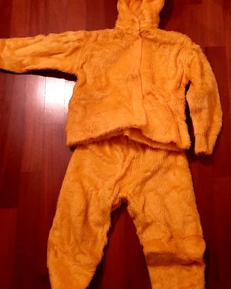 costume di carnevale 2-4 anni 