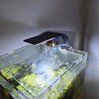 acquario nano 25 lt con accessori 