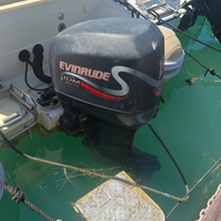 Evinrude ficht RAM 150cv ricambi