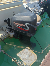 Evinrude ficht RAM 150cv ricambi