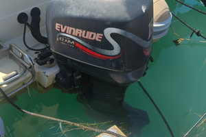 Evinrude ficht RAM 150cv ricambi