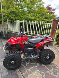 can am renegade 500