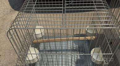 Gabbie per pappagalli