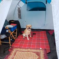 tenda da campeggio