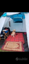 tenda da campeggio