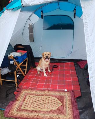 tenda da campeggio