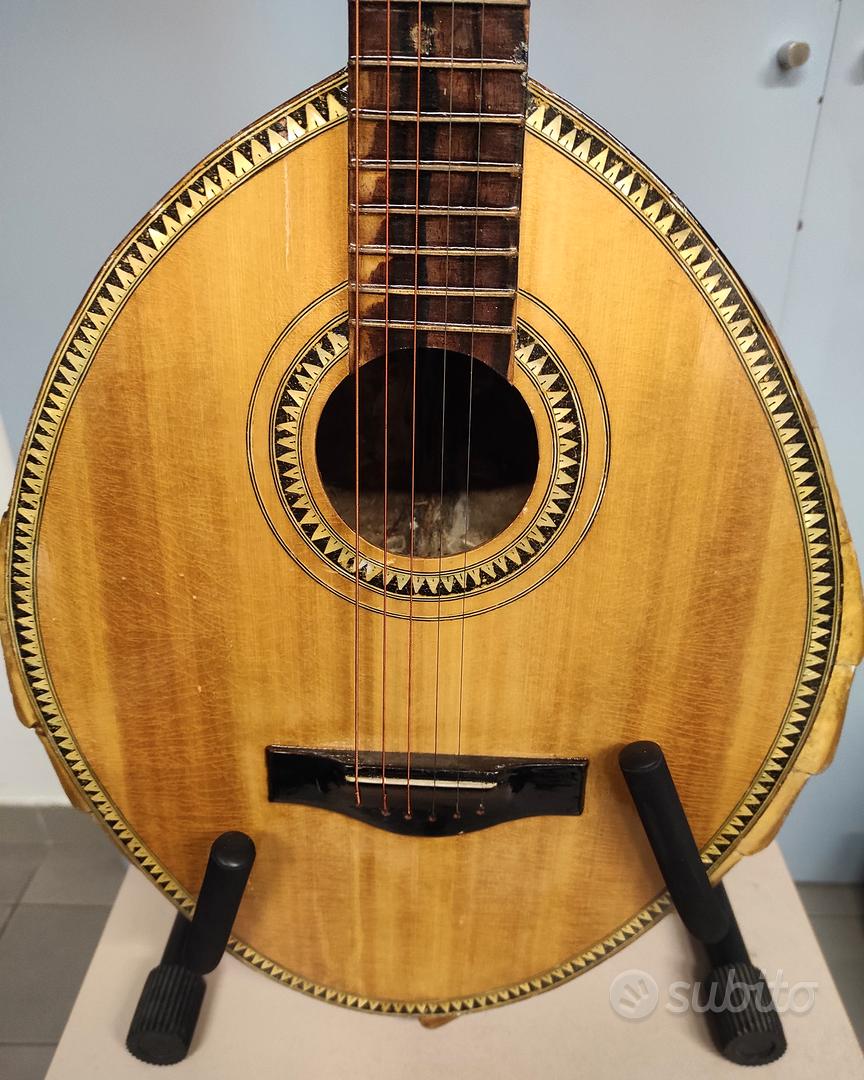 Cinghia Di Trasmissione Idrostatica 13x2486 LA 35062001/0 - Foto 3