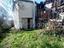 Immagine 11
