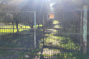 Terreno con uliveto Roma