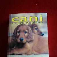 Cani in primo piano di Vicki Constantine Croke