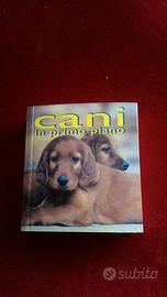 Cani in primo piano di Vicki Constantine Croke