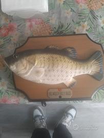 pesce canterino si muove e canta. 