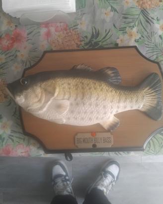 pesce canterino si muove e canta. 