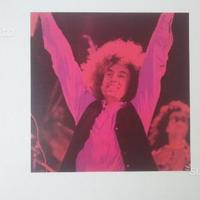 Disco Vinile 33g Angelo Branduardi 1981 originale