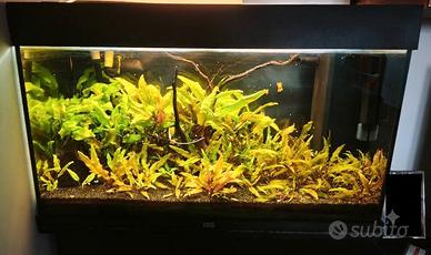 Acquario Juwel Rio 125 +  accessori
