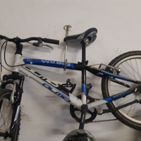 Bici olmo