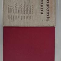 anatomia umana 1 E.E + istologia monesi piccin