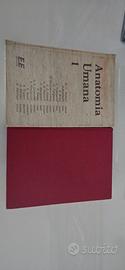 anatomia umana 1 E.E + istologia monesi piccin