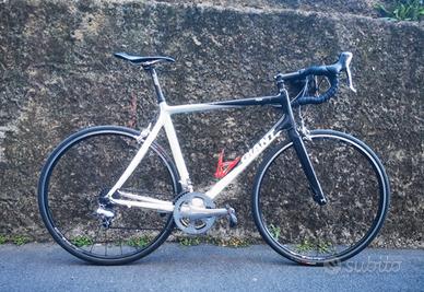 Giant in carbonio