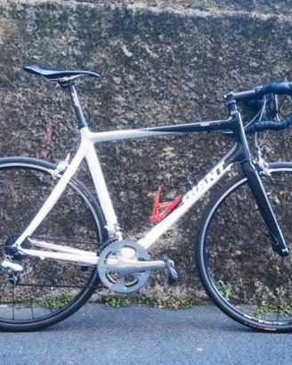 Giant in carbonio