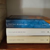 Libri vittorio sgarbi