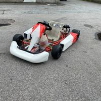 go kart pcr