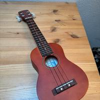 Ukulele base no professional