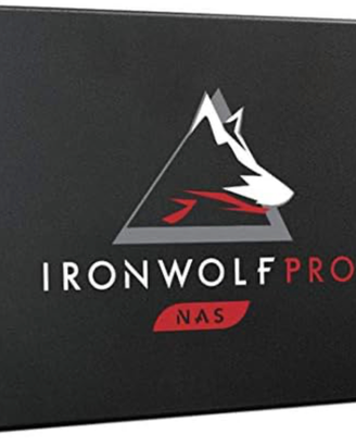 SSD IRON WOL PRO 250 GB