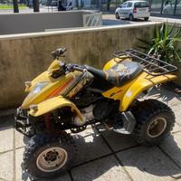 Kymco Altro modello - 2010