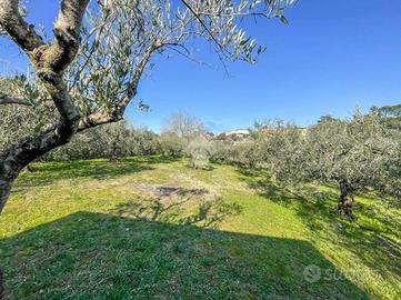 TER. RESIDENZIALE A FORMELLO