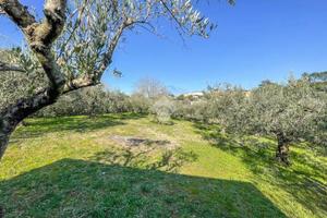 TER. RESIDENZIALE A FORMELLO