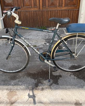 Bicicletta citybike