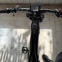 Bici elettrica sem venom