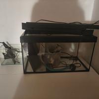Acquario 60Lt e da 120Lt