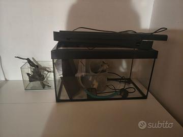 Acquario 60Lt e da 120Lt