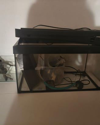 Acquario 60Lt e da 120Lt