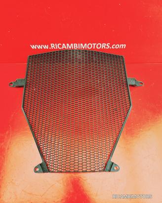 COVER LATERALI RADIATORE BMW K1200R