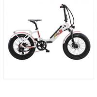 E BIKE