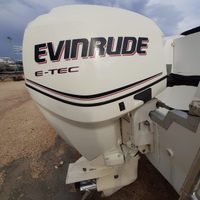 Evinrude E-tec 115 2012