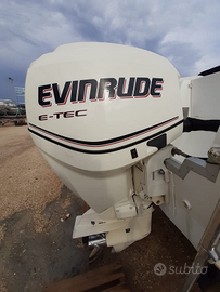 Evinrude E-tec 115 2012