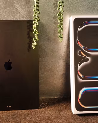 ipad pro 13 2024 M4 7a gen 256gb wifi