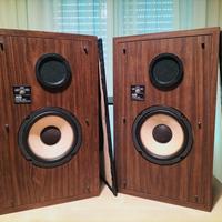 diffusori vintage Avid model 100