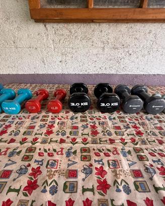 Lotto Manubri Fitness e Tonificazione - Vari Pesi