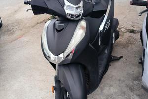 sh 300 targa polacca 