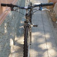 Bici Mountenbike Uomo