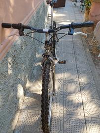 Bici Mountenbike Uomo